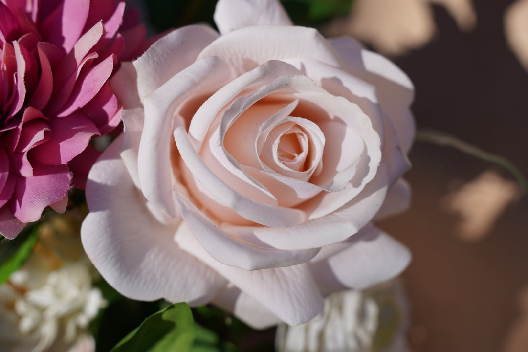 Blush Magenta