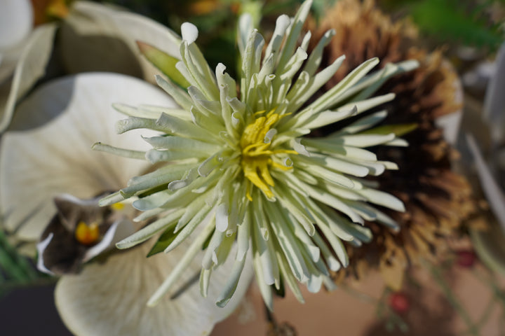 Meadowlight Reception