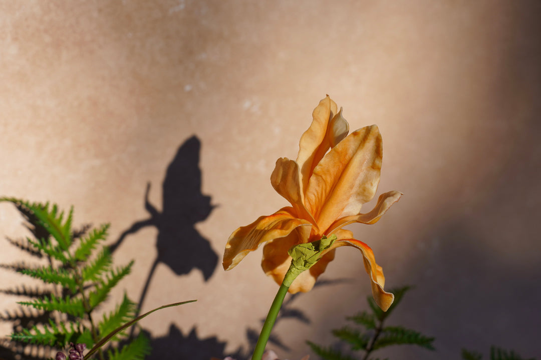 Sunlit Kitchen Morning
