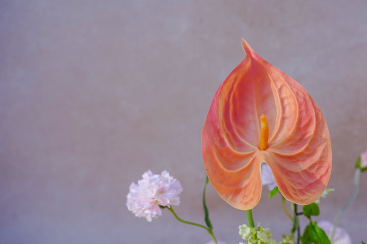 Blush Ikebana