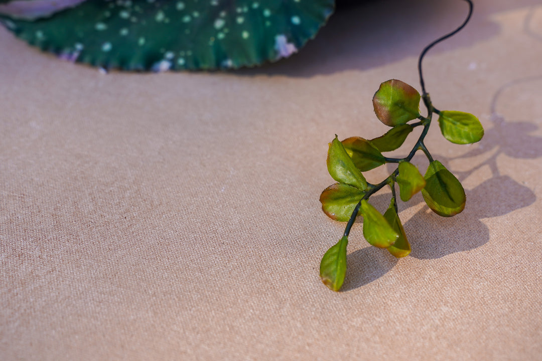 Ivory Drift Ikebana