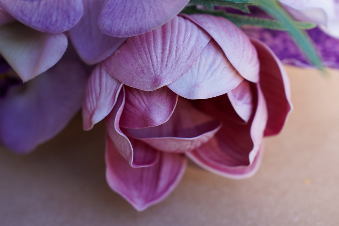 Violet Atelier
