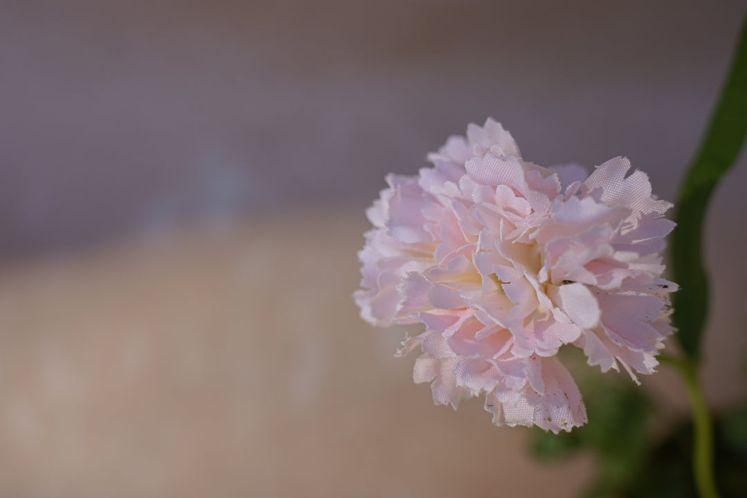 Blush Ikebana