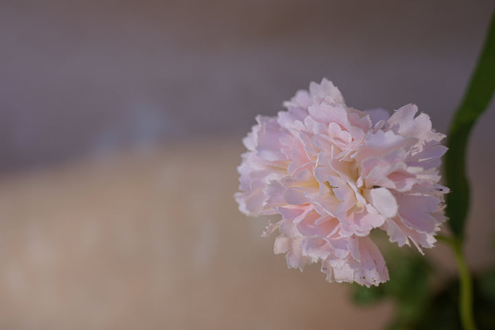 Blush Ikebana