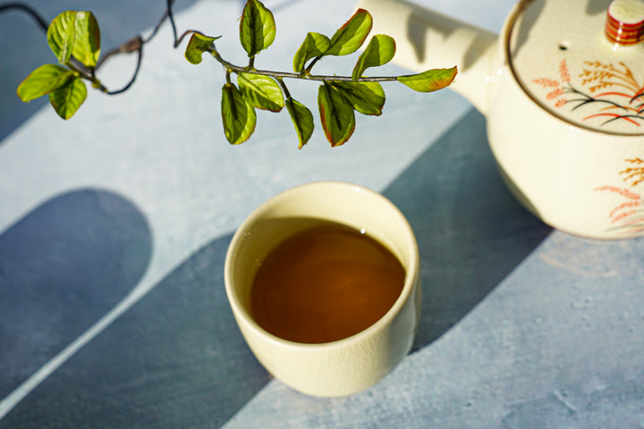 Mountain Ryokan Tea Set