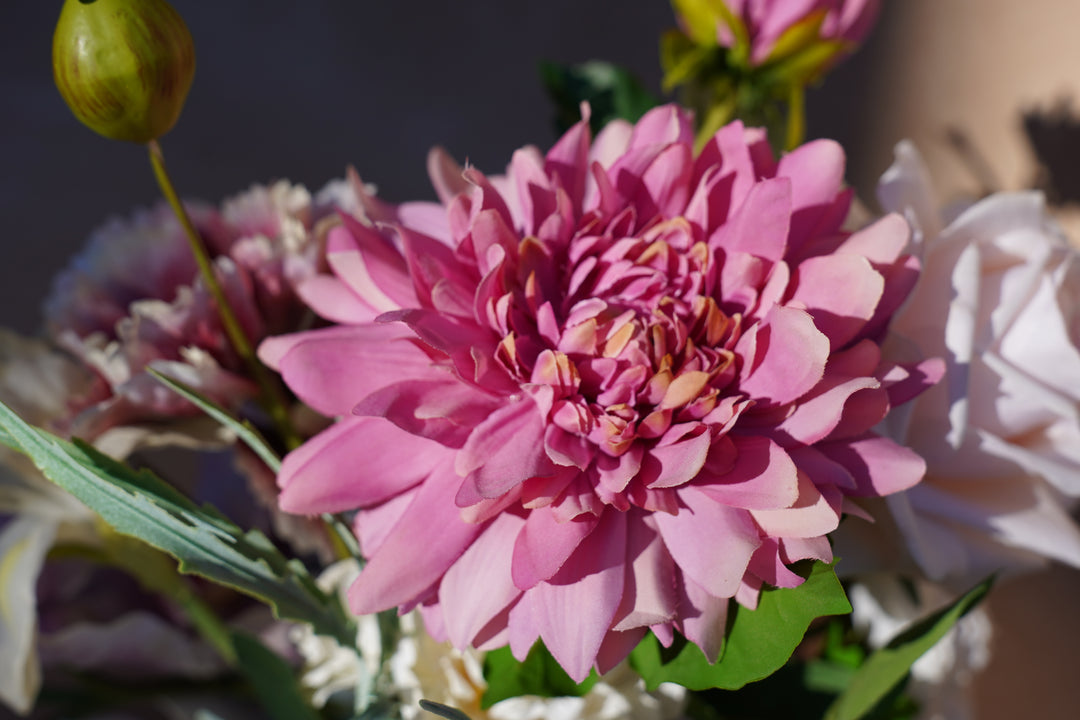 Blush Magenta